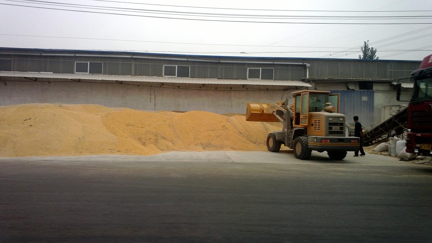 Mountain of ground corn, or maybe corn kernels